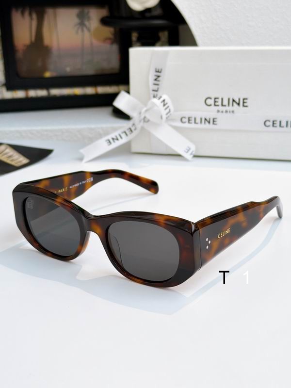 Celine Sunglasses ID:20260319-53